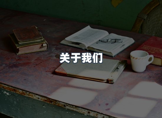 专业团队